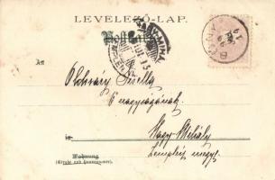 1899 Playful cats litho