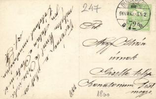 Budapest XIX. Kispest, Flóra mozgó, photo