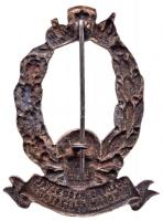 Osztrák-Magyar Monarchia ~1916. "10. LOVAS HADOSZTÁLY ROHAM FÉLEZREDE" ezüstözött cink sap...