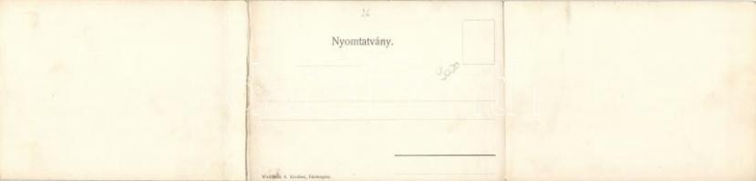 Esztergom Mária Valéria híd, panoramacard; Wallfisch S. kiadása