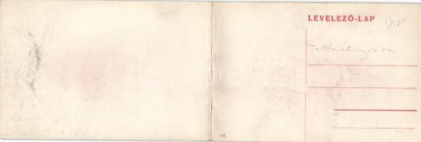 Aranyosbánya, Offenbánya; panoramacard (EK)