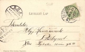 Kaposvár Fő utca, Müller Pál cipész és Fenyvesi Béla üzlete; Fenyvesi Béla kiadása (fl)