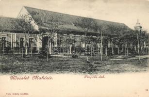 Makó, Püspöki lak; Vitéz Mihály kiadása