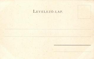 Makó, Városháza, Tokár András és Berliner Mór kereskedései; Vitéz Mihály kiadása