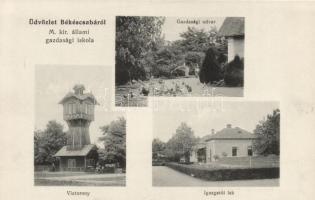 Békéscsaba állami gazdasági iskola