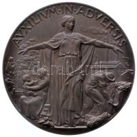 Olaszország / Trieszt 1938. "Az Adriai Biztosító Társulat 100 éves jubileumára" Br emlékérem adományozói dísztokban! Szign.: Mistruzzi / Pagani (57mm/80.4g) T:1 Italy / Triest 1938. "100th Anniversary of the Adriatic Insurance Company" Br commemorative medallion on original case. Sign: Mistruzzi / Pagani (57mm/80.4g) C:UNC