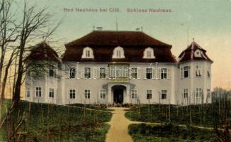 Novi grad, Bad Neuhaus bei Cilli, Celje; Schloss / castle