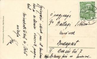 Novi grad, Bad Neuhaus bei Cilli, Celje; Schloss / castle