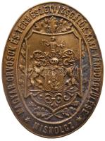 1910. "Magyar Orvosok és Természetvizsgálók XXXV. Vándorgyűlése - Miskolcz" Br gomblyuk jelvény. Szign.: Szelényi (31x42mm) T:2- (horpadás) Hungary 1910. "XXXVth Medical Congress in Miskolc" commemorative Br button-badge. Sign.: SZELÉNYI / MISKOLCZ (31x42mm) C:VF (dent)