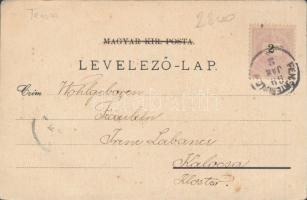 1899 Fehértemplom, spa, castel, monastery, skating space, floral (EK)