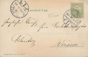 Újvidék, Neusatz; Duna utca, Léderer Jenő bank és bizományi üzlete, Milan Ivkovic kiadása / street, ...