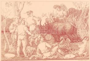 Duschanek János (1947-): A mocsár angyala. Szitanyomat 34/50, papír, jelzett, keretben, 47×32 cm