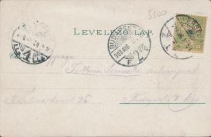 Versec, Catholic and Serbian church, Main square, school, floral, litho