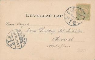 Versec, Ferenc József tér, Wassermann, Győri Mór és Steiner üzletei / square, shops, litho (EK)