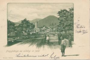 Nagybánya az erdélyi út felől / Transylvanian street