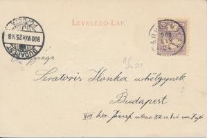 Nagybánya az erdélyi út felől / Transylvanian street