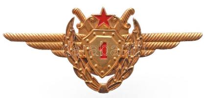 1975. "Aranykoszorús I. osztályú repülőgépvezető jelvény, jelzett aranyozott ezüst kitüntetés, igen ritka darab. T:1- RR! 1975. "First class pilot badge with golden wreath", hallmarked gilt silver badge, it is a very rare version of this decoration! C:AU Rare!