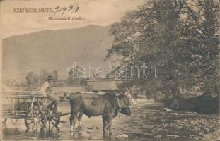 Szepesremete, Gölnic river, ox cart