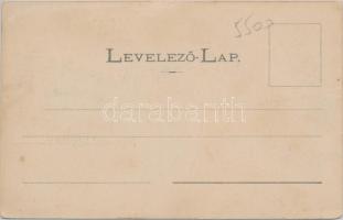 Marosvásárhely vár / castle (fl)