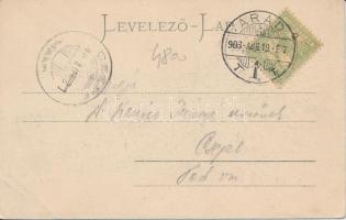 Arad Maros part / riverside