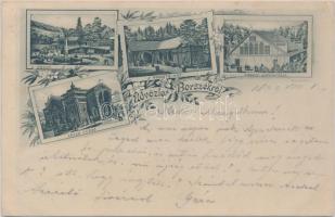 1899 Borszék Lázár fürdő, hidegvíz gyógyintézet, Kossuth és Fő kút / spas, fountains, floral (EK)