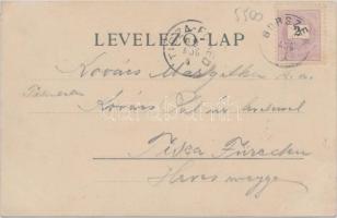 1899 Borszék Lázár fürdő, hidegvíz gyógyintézet, Kossuth és Fő kút / spas, fountains, floral (EK)