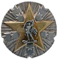 Jugoszlávia 1945- "Nemzeti Érdemrend" Ag jelvény, hátlapján sorszámmal és nemesfém jelzéssel (41mm/30.24g) T:2,2- Yugoslavia 1945- "Order of National Merit" Ag decoration with serial number and hallmark (41mm/30.24g) C:aXF,VF