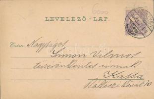 Pöstyén, spa, church, hotel, floral, litho (EK)