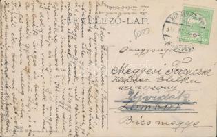 Técső, Takarékpénztár, Könyvnyomda, Dohány és Szivar Nagy Áruda / savings bank, printing house, toba...