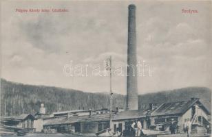 Szolyva, Frigyes Károly telep, gőzfűrész, Goldenberg és Hecht kiadása