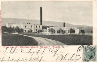 Bernartice u Javorníka, Barzdorf; Zündwarenfabrik, Verlag Aug. Hannig / factory