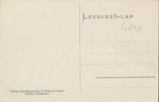 Beregszász, Kálvin tér, Engel Jenő könyvnyomdája, bútor raktár / square, printing house, furniture w...