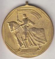 Osztrák-Magyar Monarchia 1908. "Ferenc József Jubileumi Felvonulási Érem" aranyozott Br ér...