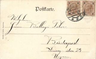 Opava, Troppau; Herrengasse / street