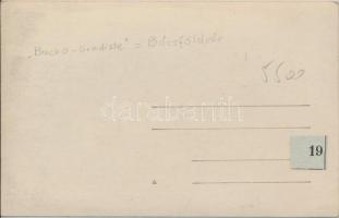 Bácsföldvár vasútállomás / railway station, photo