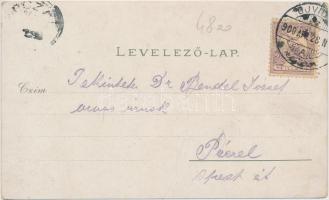 Újvidék központi hitelintézet, Központi szálloda, lövölde, Erzsébet tér, Pétervárad vár / credit ban...