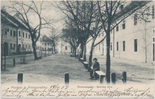 Újvidék Pétervárad, promenád / promenade
