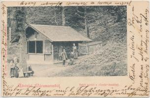 Rahó, Borkút, Gyula forrás / fountain (fl)