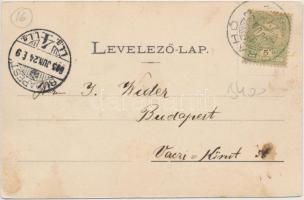 Rahó, Borkút, Gyula forrás / fountain (fl)