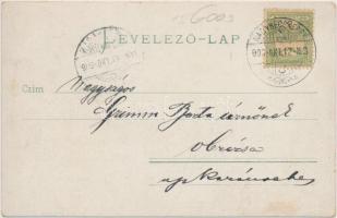 Nagybecskerek Megyeháza, városi vasút / county hall, urban railway