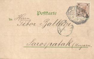 1899 Bregenz, litho (EK)