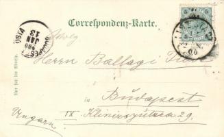 Linz an der Donau, Museum Franzisko-Carolinum / museum