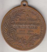 1894. "Kossuth Lajos, dicső korszak lánglelkű alkotója" Br emlékmedál (29mm) T:2,2-