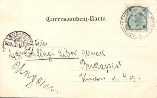 Údolí Labe / Elbethal; Brná / Birnai, Vanov / Wanow, Strekov / Schreckenstein; floral