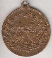 Ausztria ~1914. "Ferenc József és II. Vilmos" Br emlékérem (22mm) T:2
Austria ~1914. &quot...