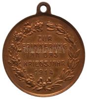 Ausztria 1914. "Ferenc József és II. Vilmos / Az 1914-es háborús év emlékére" Br emlékérem...