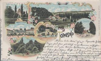 1899 Topusko spa, mud bath, fountain, church, floral, litho