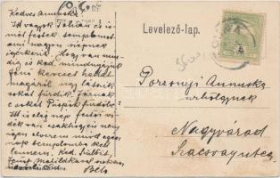 Tolna Kossuth utca, uradalmi kastély (fl)