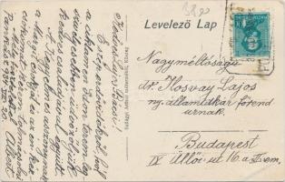 Pankasz Kulcsár Antal téglagyáros háza, Hangya szövetkezet, közbirtokossági vendéglő, református isk...