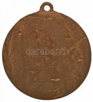 Osztrák-Magyar Monarchia 1916. "Bosznia Hercegovina Dalmácia 1916" aranyozott bronz emléké...